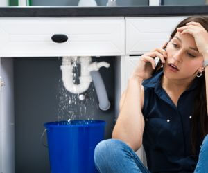 About Water Leak Detection Pros Garden, MI